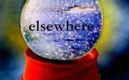 [PDF] Elsewhere by Gabrielle Zevin Free Download
