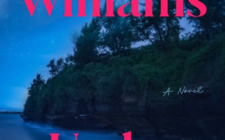 [PDF] Under the Stars by Beatriz Williams Free Download