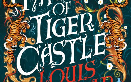 [PDF] The Magician of Tiger Castle by Louis Sachar Free Download