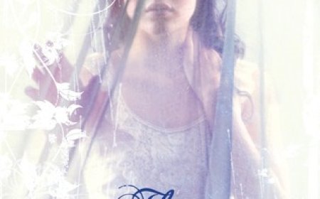 [PDF] The Near Witch #1 by Victoria Schwab Free Download