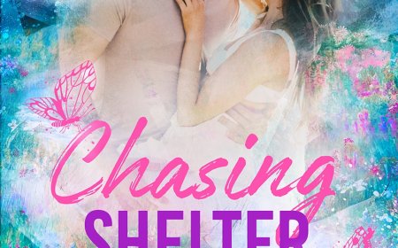 [PDF] Sparrow Falls #5 Chasing Shelter by Catherine Cowles Free Download