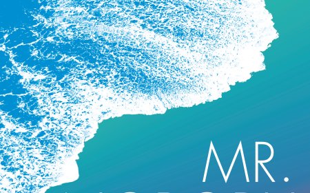 [PDF] Mr. Nobody by Catherine Steadman Free Download