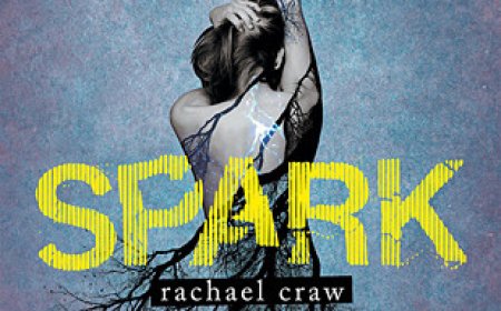 [PDF] Spark #1 by Rachael Craw Free Download