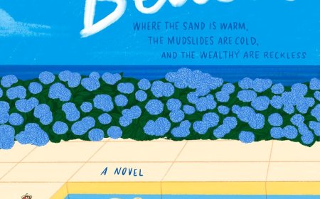 [PDF] Mansion Beach by Meg Mitchell Moore Free Download