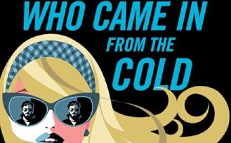 [PDF] Blonde Identity #2 The Blonde Who Came in From the Cold by Ally Carter