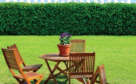 [PDF] The Admissions by Meg Mitchell Moore Free Download