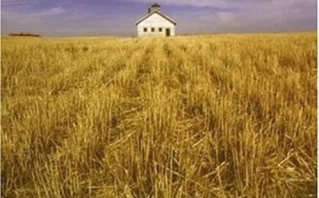 [PDF] Plain Truth by Jodi Picoult Free Download