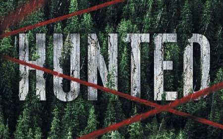 [PDF] Hunted by Darcy Coates Free Download