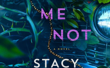 [PDF] Forget Me Not by Stacy Willingham Free Download