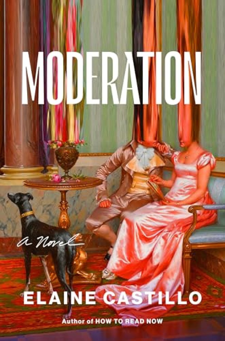 [PDF] Moderation by Elaine Castillo Free Download
