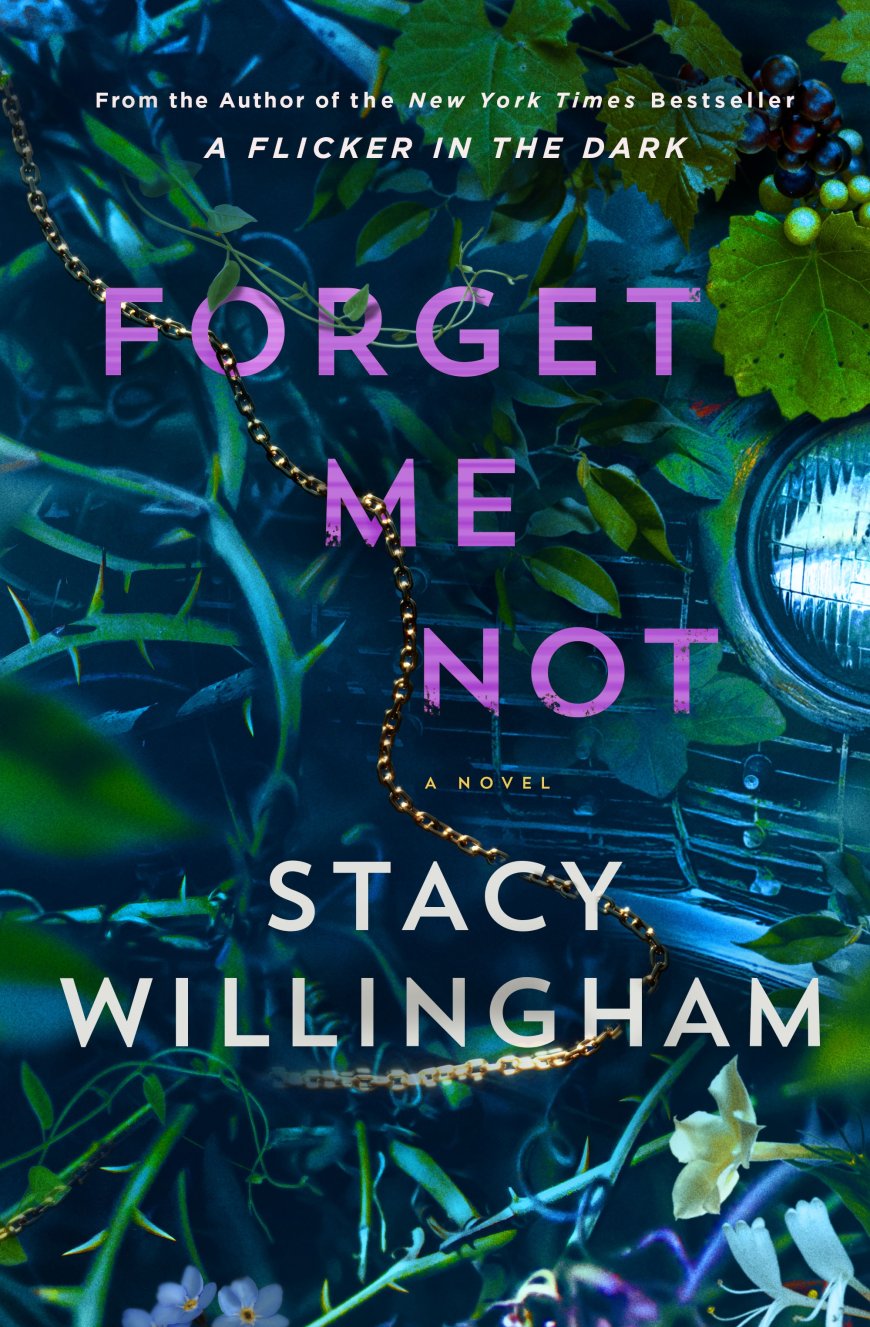 [PDF] Forget Me Not by Stacy Willingham Free Download