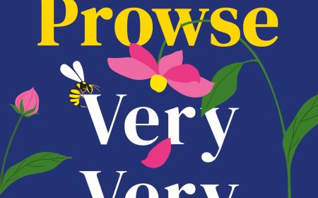 [PDF] Very Very Lucky by Amanda Prowse Free Download