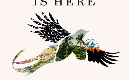 [PDF] Everyone Who Is Gone Is Here by Jonathan Blitzer Free Download