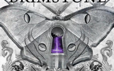 [PDF] House of Devils #4 City of Smoke and Brimstone by Kayla Edwards Free Download