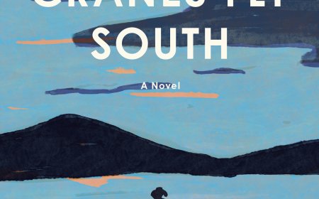 [PDF] When the Cranes Fly South by Lisa Ridzén Free Download