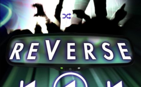 [PDF] The Bittersweet Symphony Duet #2 Reverse by Kate Stewart Free Download