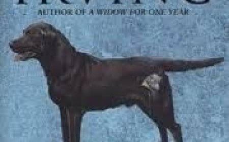 [PDF] The Hotel New Hampshire by John Irving Free Download