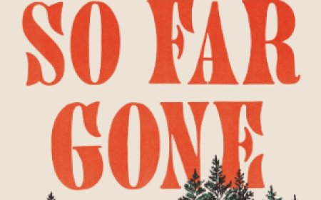[PDF] So Far Gone by Jess Walter Free Download