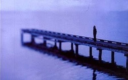 [PDF] Dreamland by Sarah Dessen Free Download