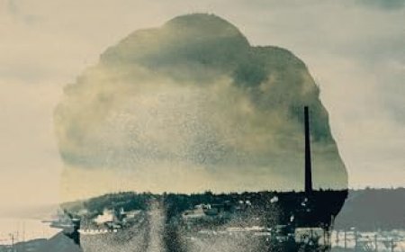 [PDF] Murderland by Caroline Fraser Free Download