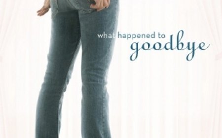 [PDF] What Happened to Goodbye by Sarah Dessen Free Download