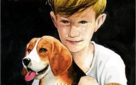 [PDF] Shiloh #1 Shiloh by Phyllis Reynolds Naylor Free Download