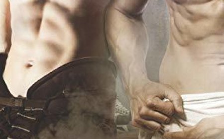 [PDF] Game Changers #2 Heated Rivalry by Rachel Reid Free Download