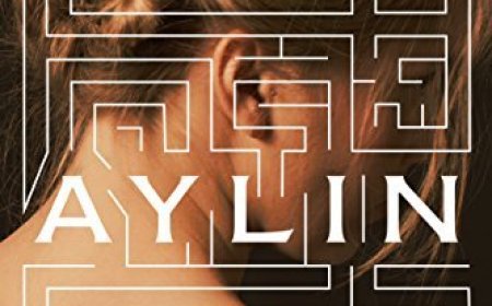 [PDF] Aylin by Ayşe Kulin Free Download