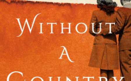 [PDF] Without a Country by Ayşe Kulin Free Download
