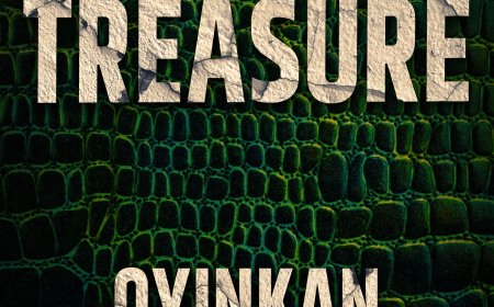 [PDF] Hush #2 Treasure by Oyinkan Braithwaite Free Download
