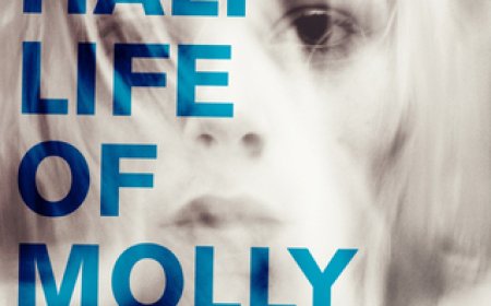 [PDF] The Half Life of Molly Pierce by Katrina Leno Free Download