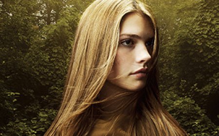 [PDF] Shadowfell #1 by Juliet Marillier Free Download