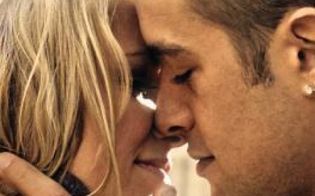 [PDF] The Bet #1 by Rachel Van Dyken Free Download