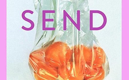 [PDF] Send Nudes by Saba Sams Free Download