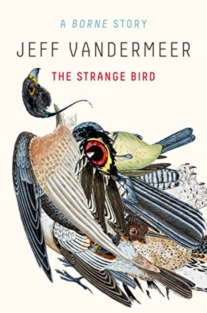 [PDF] Borne #1.5 The Strange Bird by Jeff Vandermeer Free Download