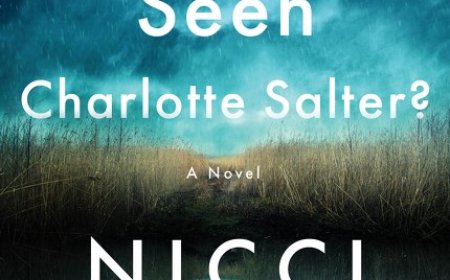 [PDF] Maud O’Connor Mysteries #1 Has Anyone Seen Charlotte Salter? by Nicci French