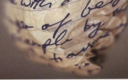 [PDF] Herzog by Saul Bellow Free Download