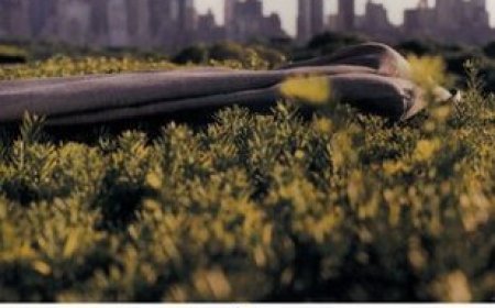 [PDF] Seize the Day by Saul Bellow , Cynthia Ozick Free Download