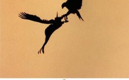 [PDF] The Adventures of Augie March by Saul Bellow Free Download