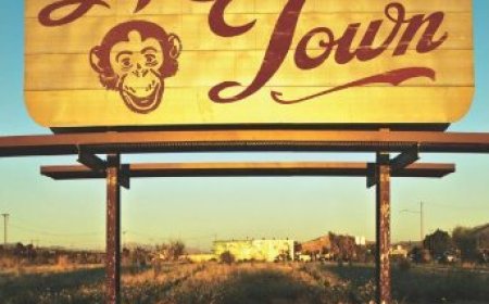 [PDF] Evolving in Monkey Town by Rachel Held Evans Free Download