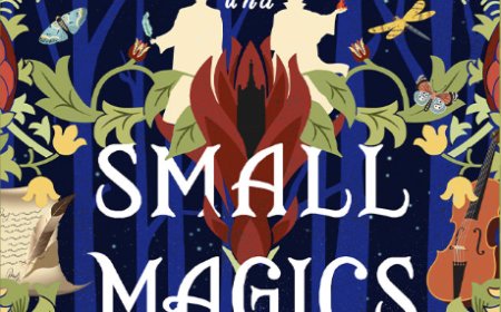 [PDF] The Wildersongs Trilogy #1 Sorcery and Small Magics by Maiga Doocy