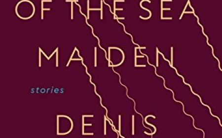 [PDF] The Largesse of the Sea Maiden by Denis Johnson Free Download