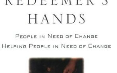 [PDF] Instruments in the Redeemer's Hands by Paul David Tripp Free Download