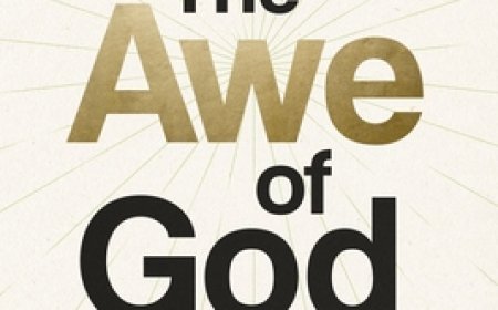 [PDF] The Awe of God by John Bevere Free Download