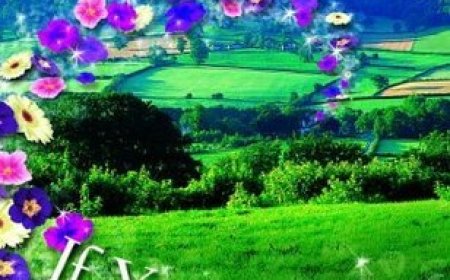 [PDF] If You Could See Me Now by Cecelia Ahern Free Download