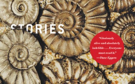 [PDF] Memory Wall by Anthony Doerr Free Download