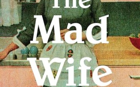 [PDF] The Mad Wife by Meagan Church Free Download