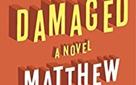 [PDF] We're All Damaged by Matthew Norman Free Download