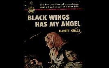[PDF] Black Wings Has My Angel by Elliott Chaze Free Download