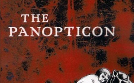 [PDF] The Panopticon by Jenni Fagan Free Download